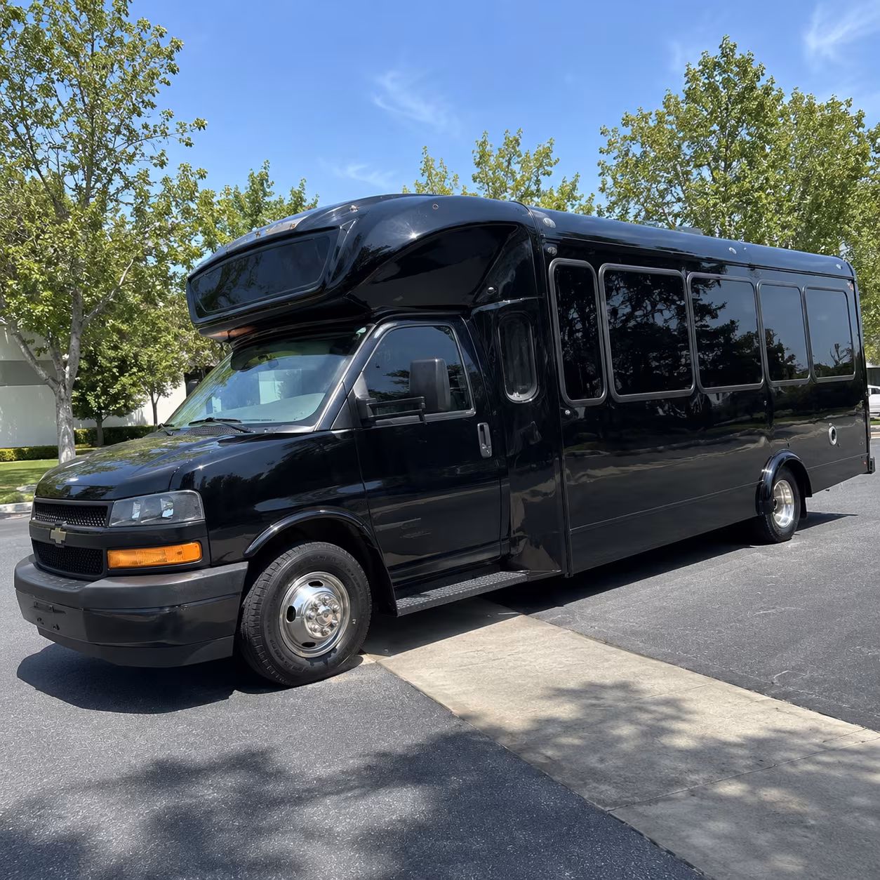 delano 15 passenger party bus